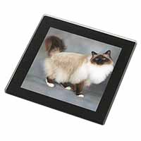 Gorgeous Birman Cat Black Rim High Quality Glass Coaster