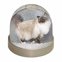 Gorgeous Birman Cat Snow Globe Photo Waterball