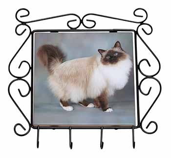 Gorgeous Birman Cat Wrought Iron Key Holder Hooks