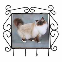 Gorgeous Birman Cat Wrought Iron Key Holder Hooks