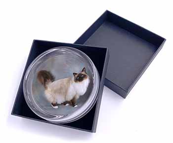 Gorgeous Birman Cat Glass Paperweight in Gift Box