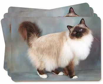 Gorgeous Birman Cat Picture Placemats in Gift Box