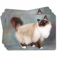 Gorgeous Birman Cat Picture Placemats in Gift Box