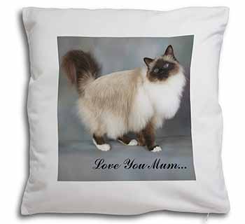 Birman Cat 