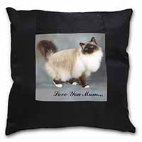 Birman Cat 