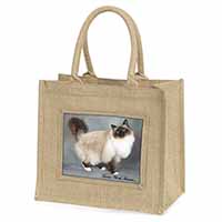 Birman Cat 