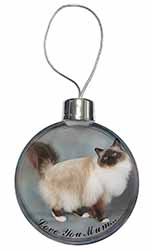 Birman Cat 