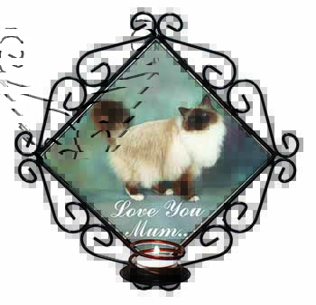 Birman Cat 