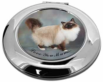 Birman Cat 