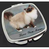 Birman Cat 