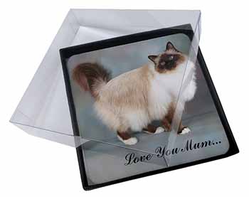 4x Birman Cat 