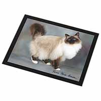 Birman Cat 