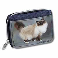 Birman Cat 