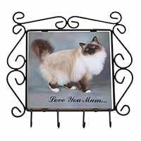 Birman Cat 