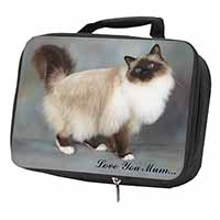 Birman Cat 