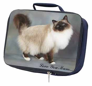 Birman Cat 