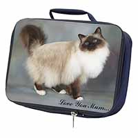 Birman Cat 