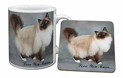 Birman Cat 