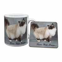 Birman Cat 