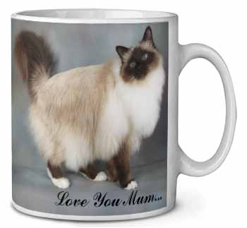 Birman Cat 