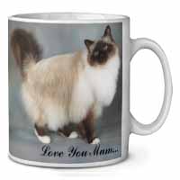 Birman Cat 