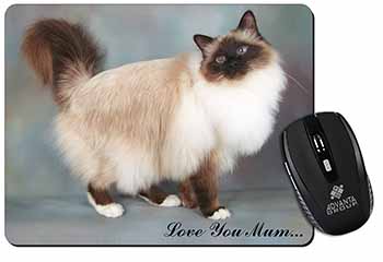 Birman Cat 