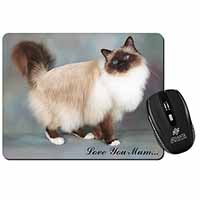 Birman Cat 