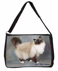 Birman Cat 