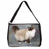 Birman Cat 