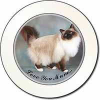 Birman Cat 