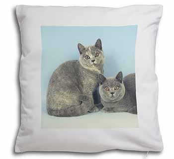 British Shorthair Cats Soft White Velvet Feel Scatter Cushion