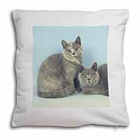 British Shorthair Cats Soft White Velvet Feel Scatter Cushion - Advanta Group®
