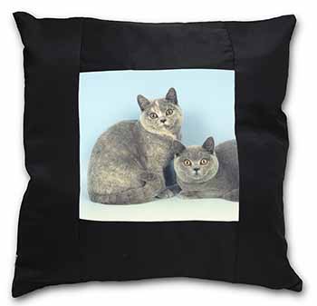 British Shorthair Cats Black Satin Feel Scatter Cushion