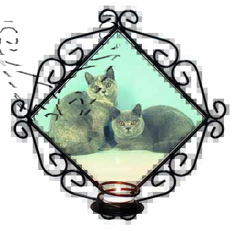 British Shorthair Cats Wrought Iron Wall Art Candle Holder