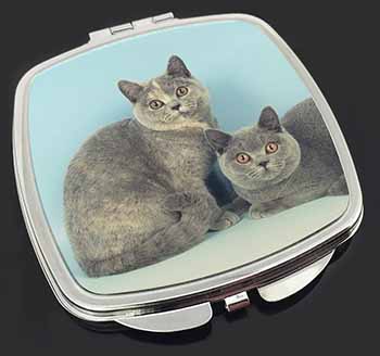 British Shorthair Cats Make-Up Compact Mirror
