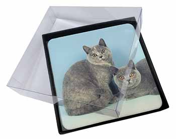 4x British Shorthair Cats Picture Table Coasters Set in Gift Box