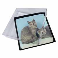 4x British Shorthair Cats Picture Table Coasters Set in Gift Box