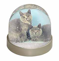 British Shorthair Cats Snow Globe Photo Waterball