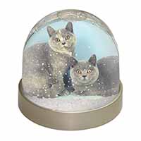 British Shorthair Cats Snow Globe Photo Waterball