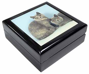 British Shorthair Cats Keepsake/Jewellery Box