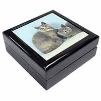 British Shorthair Cats Keepsake/Jewellery Box