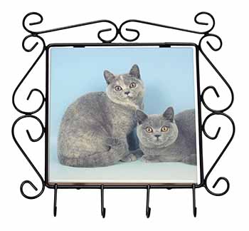 British Shorthair Cats Wrought Iron Key Holder Hooks