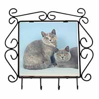 British Shorthair Cats Wrought Iron Key Holder Hooks