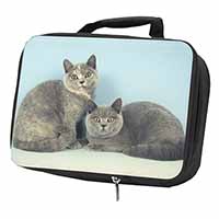 British Shorthair Cats Black Insulated School Lunch Box/Picnic Bag
