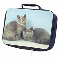 British Shorthair Cats Navy Insulated School Lunch Box/Picnic Bag