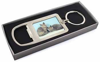 British Shorthair Cats Chrome Metal Bottle Opener Keyring in Box