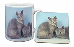 British Shorthair Cats Mug and Coaster Set