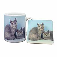 British Shorthair Cats Mug and Coaster Set - Advanta Group®