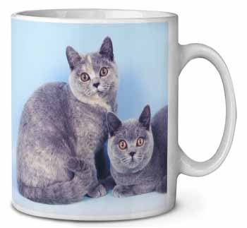 British Shorthair Cats Ceramic 10oz Coffee Mug/Tea Cup