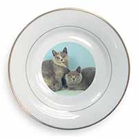 British Shorthair Cats Gold Rim Plate Printed Full Colour in Gift Box